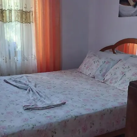 Niku Homestay * Berat