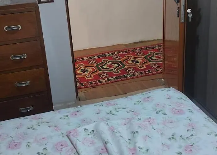 Niku Homestay * Berat