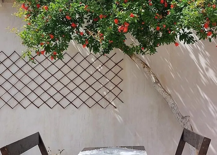 Niku Homestay Pansiyon