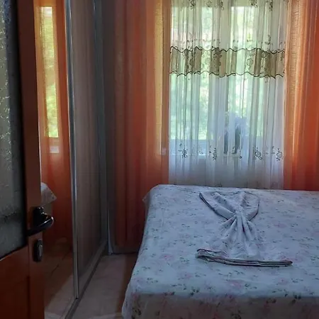 Niku Homestay