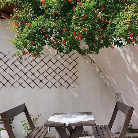Niku Homestay Проживание в семье